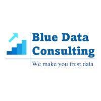 blue data consulting logo image