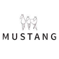 mustang productions logo image