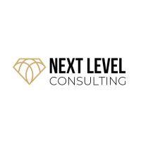 next level consulting gmbh logo image