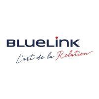 bluelink international chile logo image