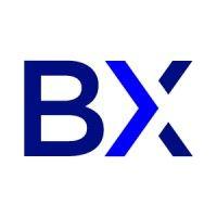 bullmetrix logo image