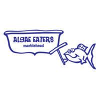 algae eaters boat cleaning services