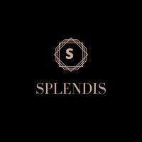 splendis logo image