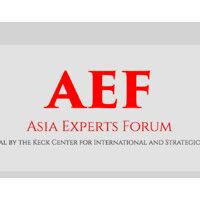 asia experts forum logo image