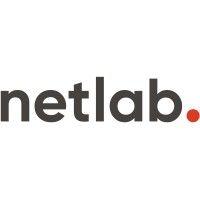 netlab ltd logo image