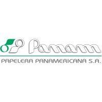 papelera panamericana s.a. logo image