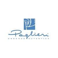 paglieri s.p.a. logo image