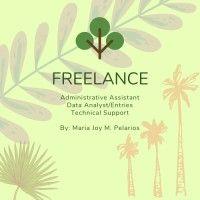 freelance - admin assistant/data entry/analyst/ technical support logo image