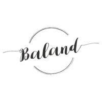 baland & co logo image