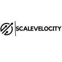 scale velocity.io