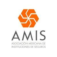 amis logo image