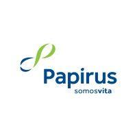 papirus indústria de papel s.a. logo image