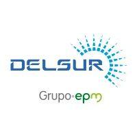 distribuidora de electricidad delsur logo image