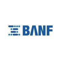 banf smart tire