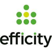 efficity logo image