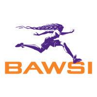 bawsi - bay area women's sports initiative