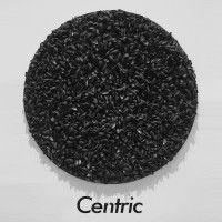 centric magazine logo image