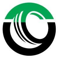 okaya electric vehicles logo image