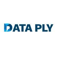 data ply logo image