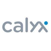 calyx | software development company