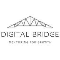 digital bridge mentorship