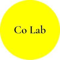 co lab logo image