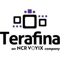 terafina, an ncr voyix company logo image