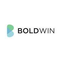 boldwin ltd logo image