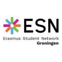 esn groningen logo image