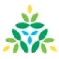 divinewellness.com logo image