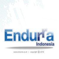 pt. endurra indonesia logo image