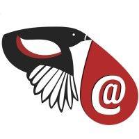 emailmagpie.com logo image