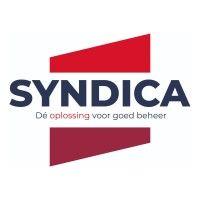 syndica logo image