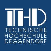 deggendorf institute of technology logo image