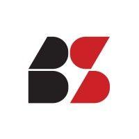 bestsoft consulting ltd. logo image