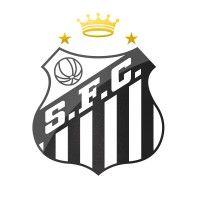 santos futebol clube logo image