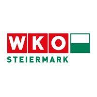 wko steiermark logo image