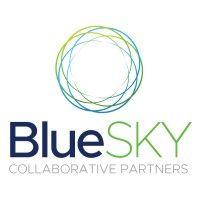 bluesky collaborative partners logo image