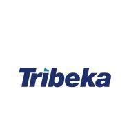 tribeka ltd logo image