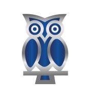 owl aerospace group logo image