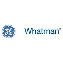 whatman - part of ge healthcare logo image