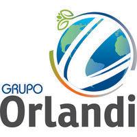 grupo orlandi logo image