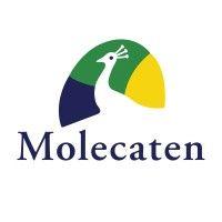 molecaten | campings en vakantieparken