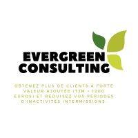 evergreen consulting sas logo image