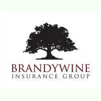 brandywine insurance group logo image