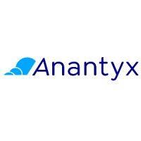 anantyx llc