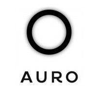 grupo auro logo image