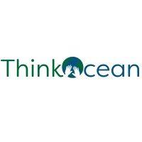 thinkocean logo image