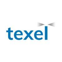 texel strategic restructuring logo image