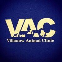 villanow animal clinic